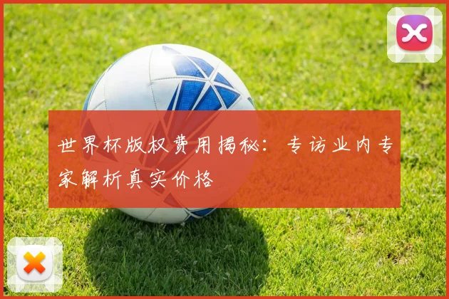 世界杯版权费用揭秘:专访业内专家解析真实价格