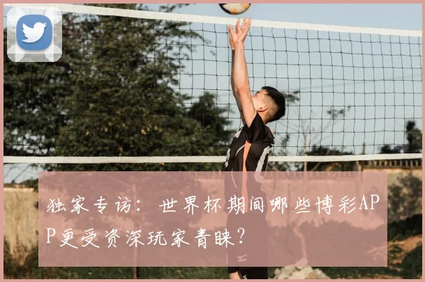 独家专访:世界杯期间哪些博彩APP更受资深玩家青睐?
