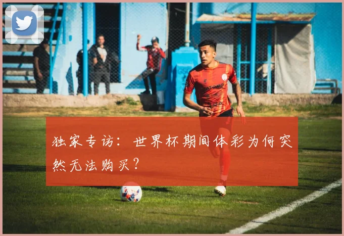 独家专访:世界杯期间体彩为何突然无法购买?