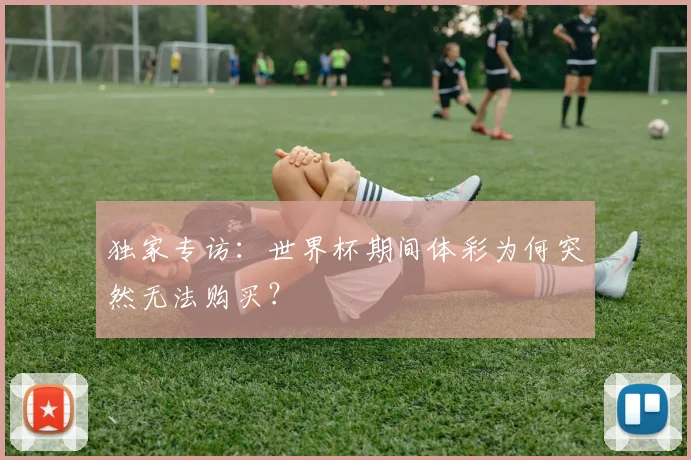 独家专访：世界杯期间体彩为何突然无法购买？