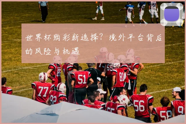 世界杯购彩新选择？境外平台背后的风险与机遇