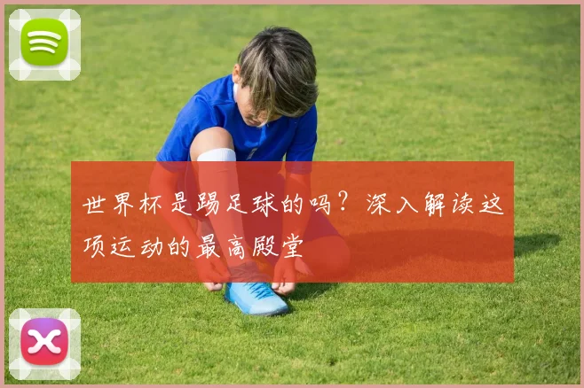 世界杯是踢足球的吗?深入解读这项运动的最高殿堂