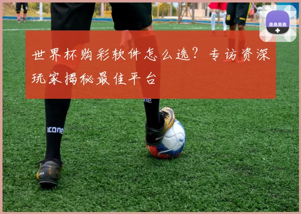 世界杯购彩软件怎么选？专访资深玩家揭秘最佳平台