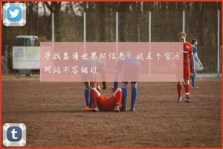 寻找靠谱世界杯信息?这五个官方网站不容错过