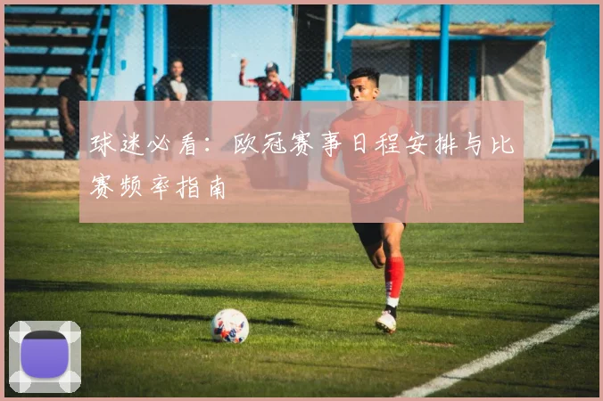 球迷必看：欧冠赛事日程安排与比赛频率指南